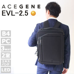 日本AceGene爱思官网简介 ACE品牌背景 主营产品